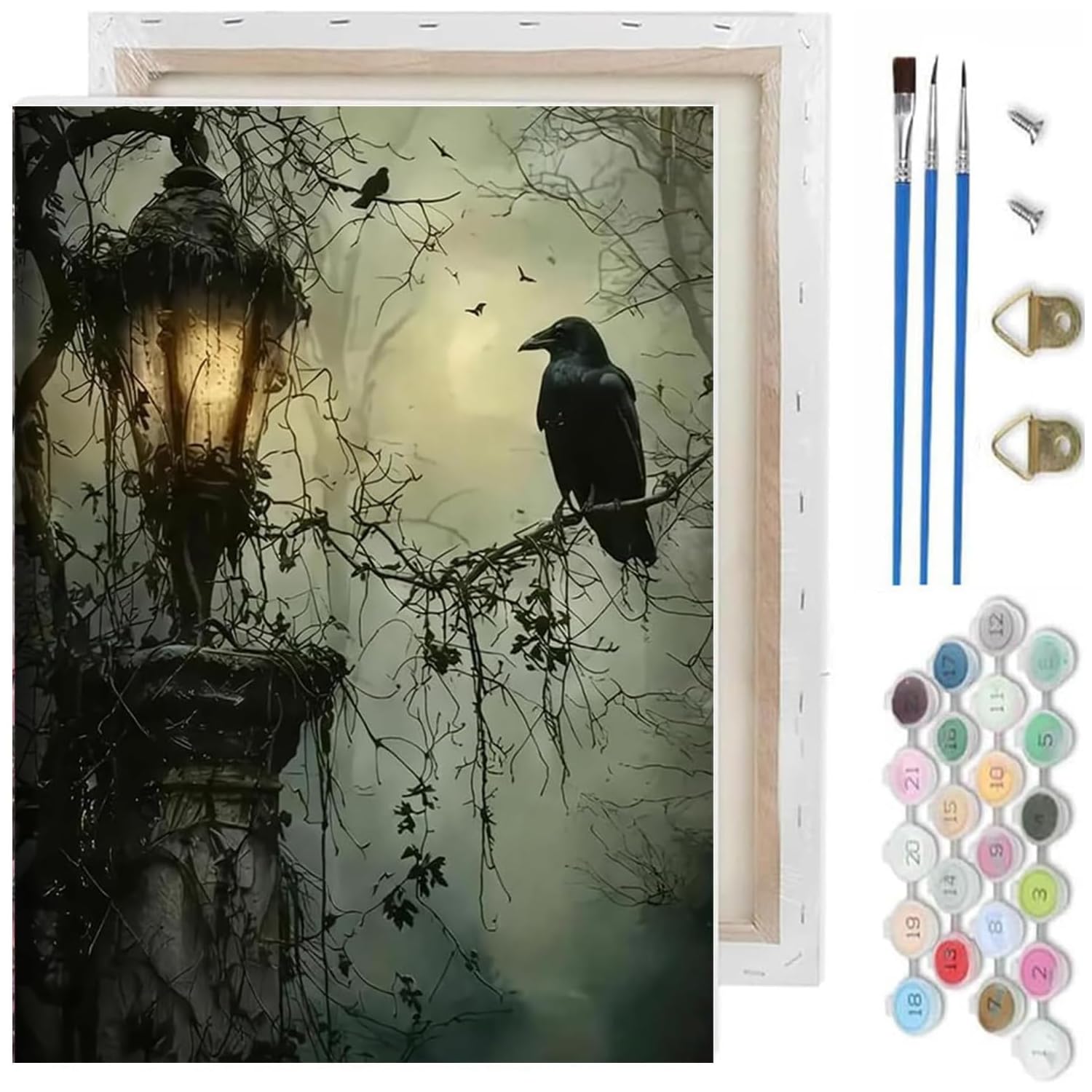 Gothic Paint by Numbers Kit for Adults,Crow Paint by Number With Frame