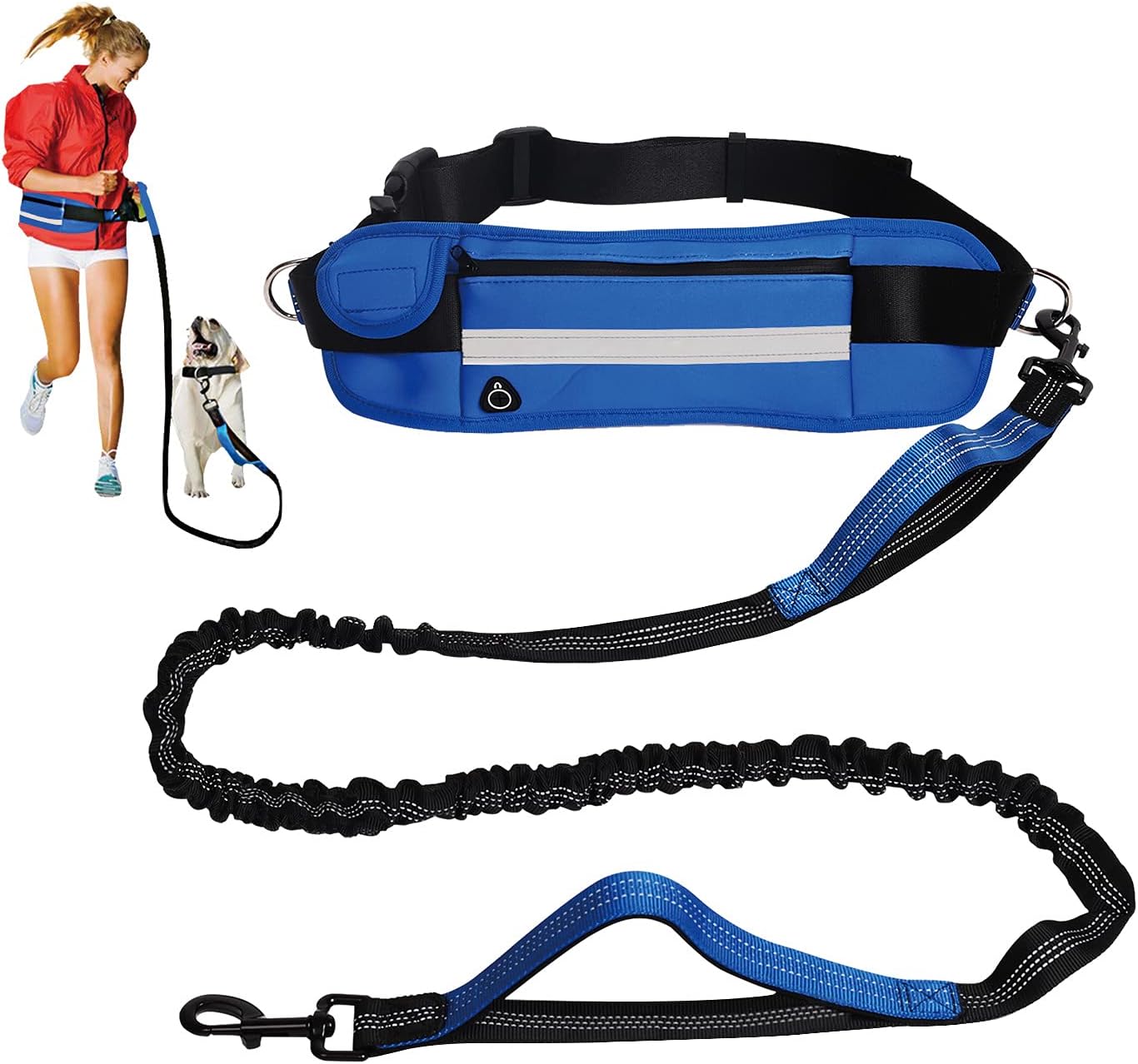 waist leash training