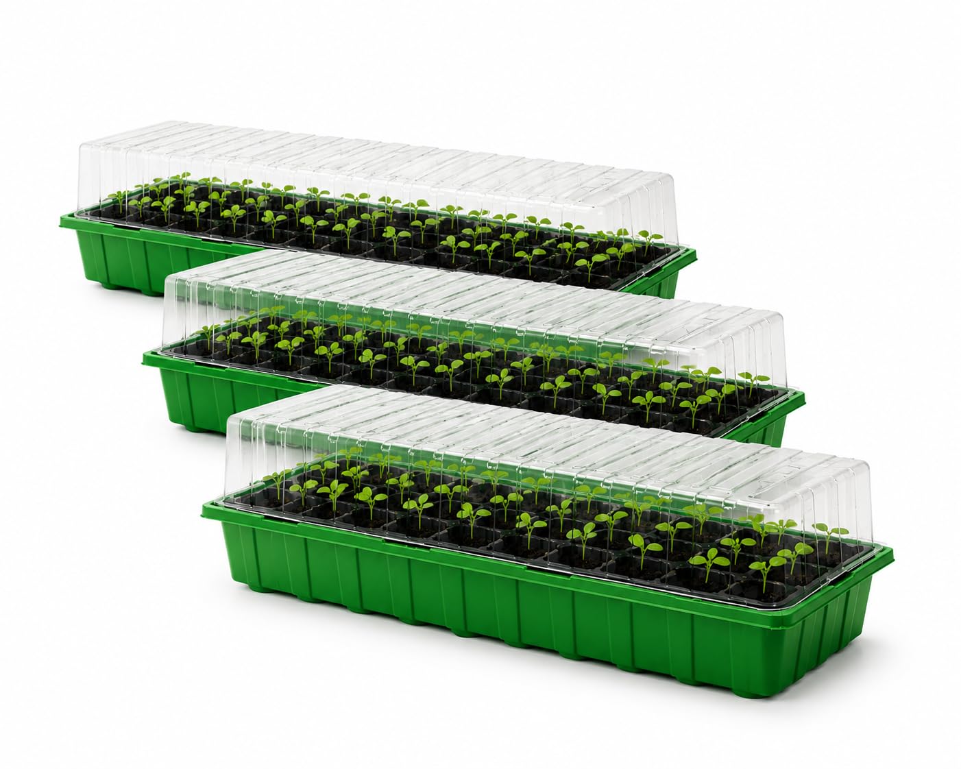 Windowsill Propagator Triple Pack, Green, PVC and PS, 54cm x 15cm x 13cm
