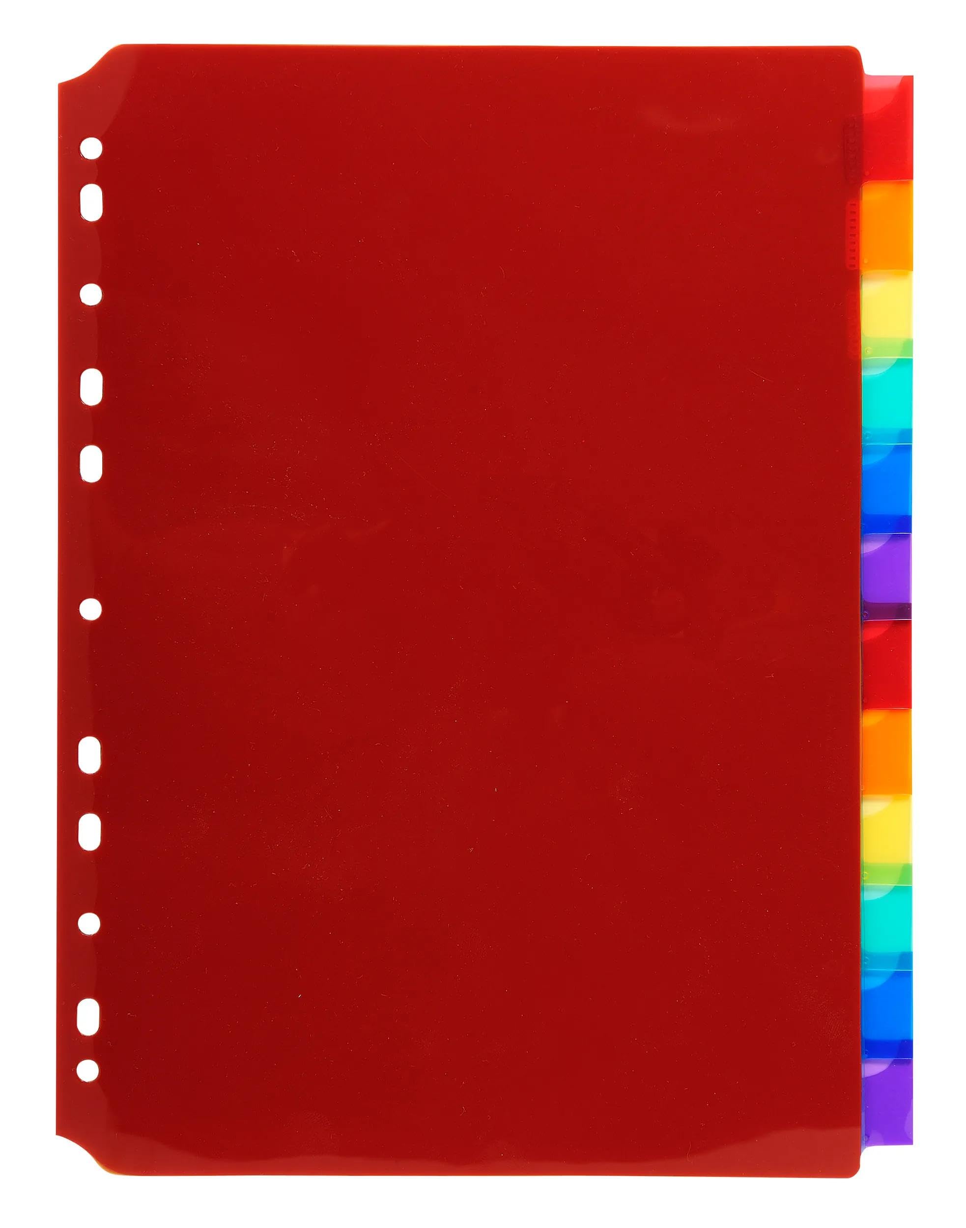 Exacompta - Nr ref. 3912E - Karton 10 półprzezroczystych przekładek polipropylenowych z 12 neutralnymi zakładkami - z etykietami - W zestawie z odłączaną deską etykiet - Format do segregacji A4