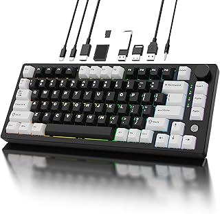 FH75 Aluminum Mechanical Keyboard with USB-C Hub, Fingerprint Reader,75% Wireless Gaming Keyboard,Docking Station with 4K HDMI,USB 3.0,PD100W, Tri-Mode,Anodized Black