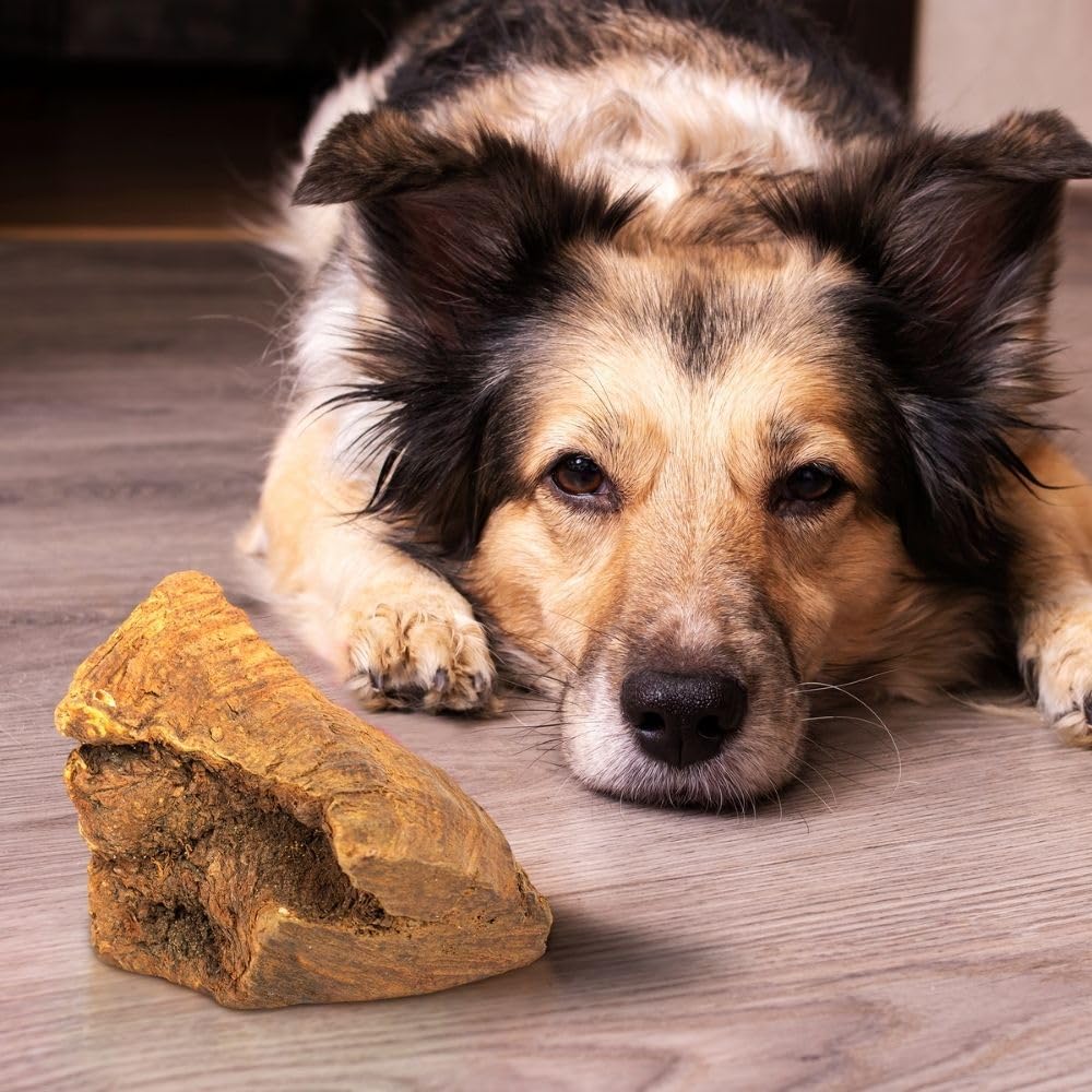 Wildfang® Raíz Masticable de Brezo Grande – Mordedor de Madera, Juguetes para Perros Agresivos, Sin Olor, Natural para Dentición y Salud Dental, Encías Saludables (25-45 kg), Paquete de 3
