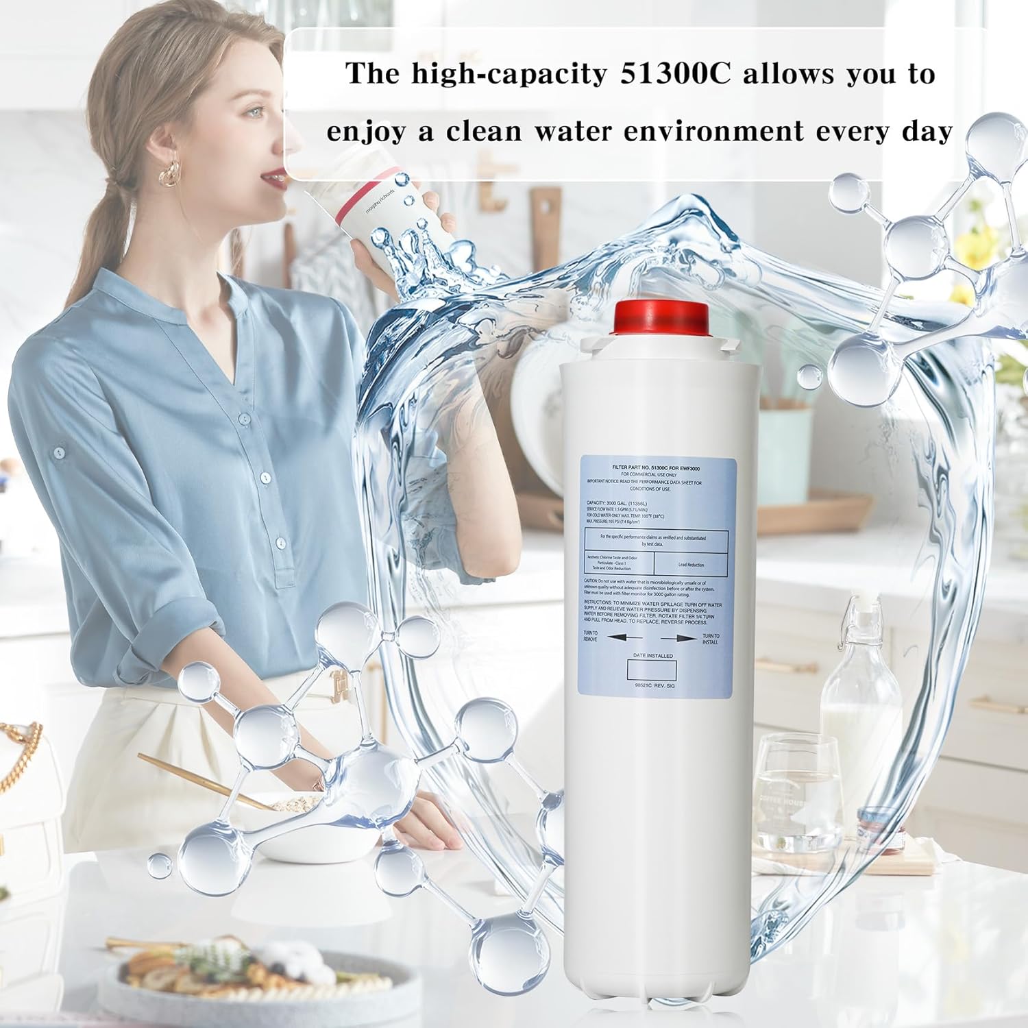 51300C Replacement Filter, 2-Pack - No Chip & Large 3000 Gallon Capacity | Compatible with EWF3000, ERF750, 51299C, 55898C, 51300A/B/C Series