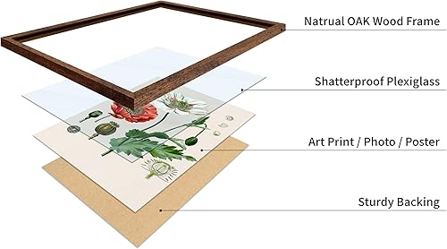 Miniatura 321 de Poster Master Póster vintage de orquídea, estampado de flores retro, arte de pared de plantas exóticas, arte botánico, regalo para hombres y