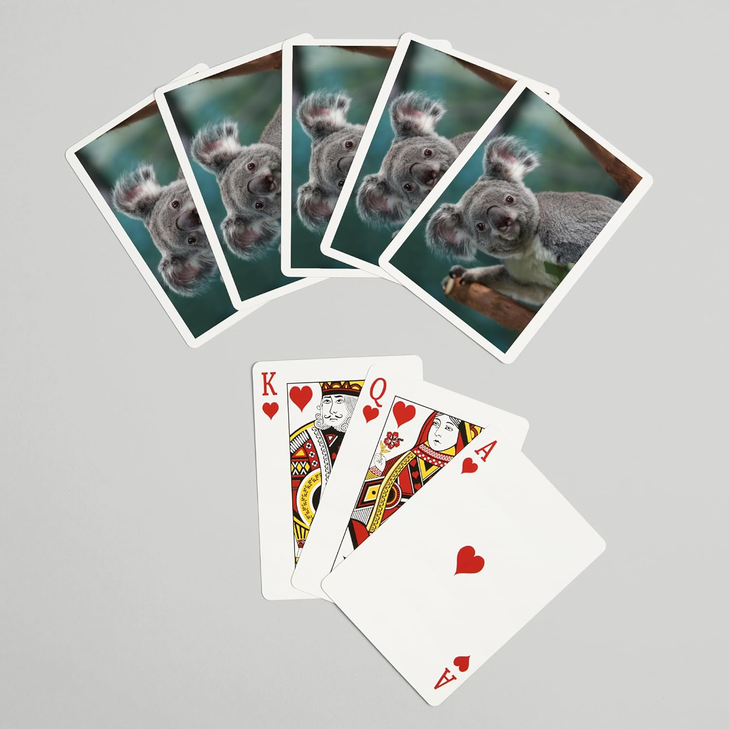 Lantern Press Koala, 52 Playing Cards for Adults, Poker Size Card Deck