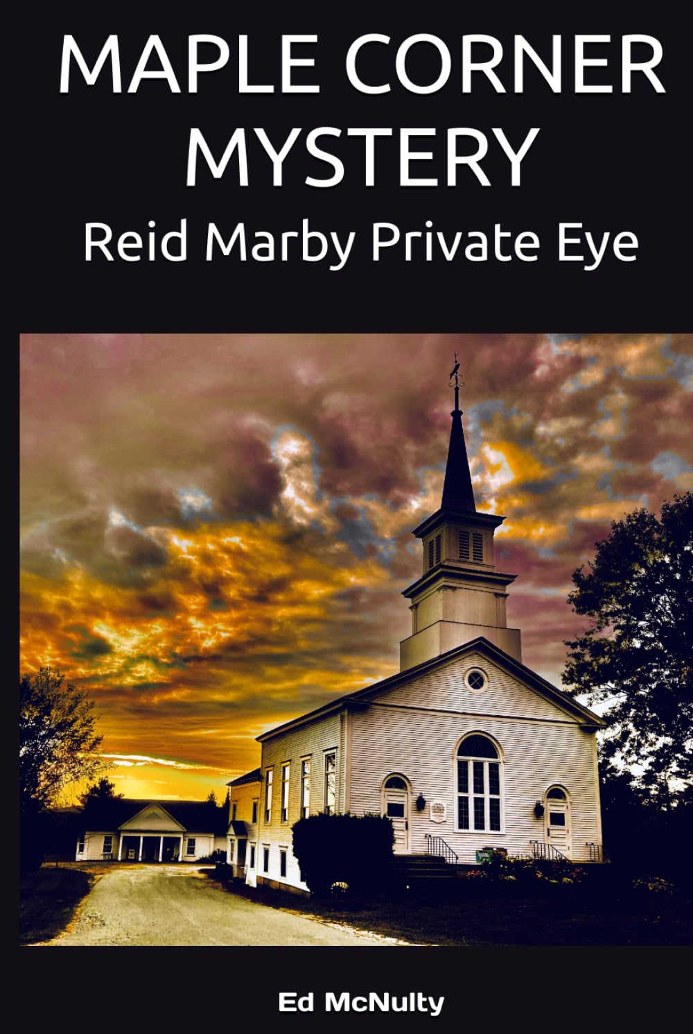 MAPLE CORNER MYSTERY: Reid Marby Private Eye