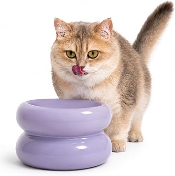 Furrytail Ceramic Elevated Cat Bowls, Raised Water & Food Bowl, Lilac