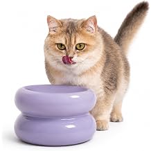 Furrytail Ceramic Elevated Cat Bowls, Raised Water & Food Bowl, Lilac