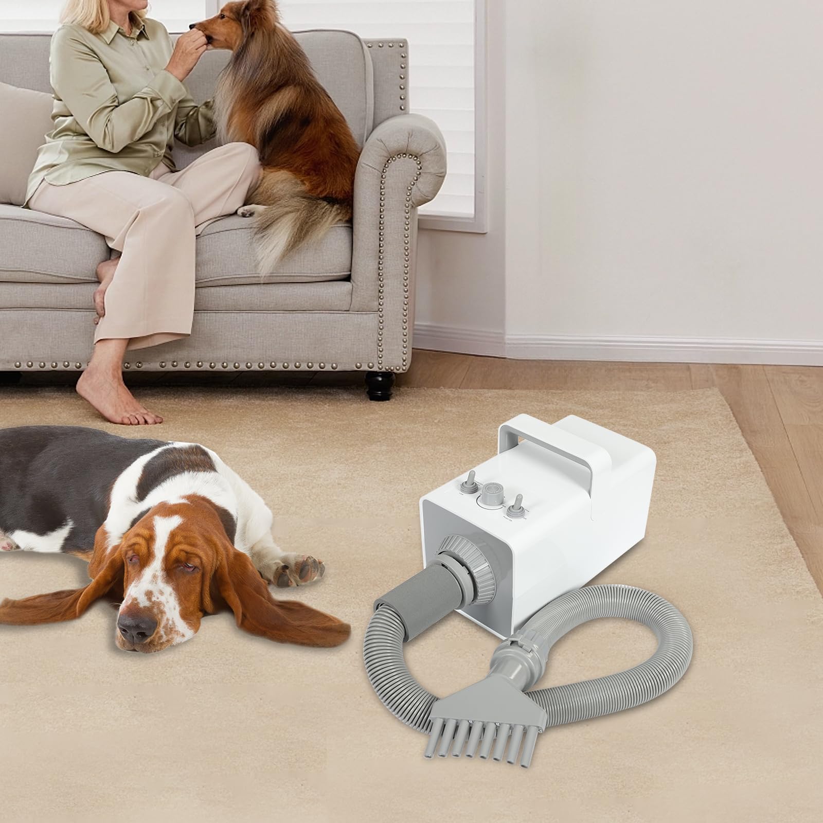 Asciugacapelli per cani, 2800 W, 57 dB, 68 m/s, silenzioso