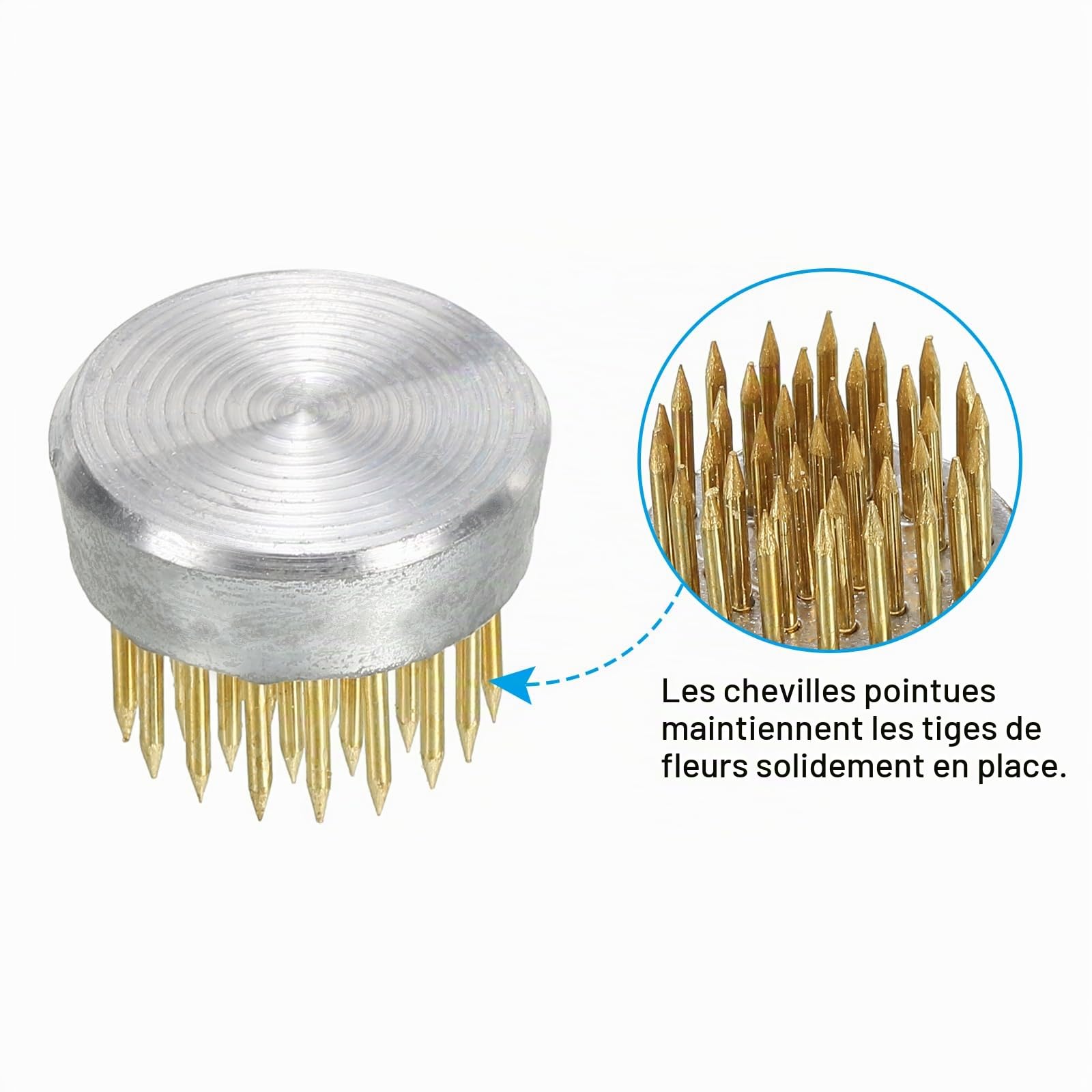 PATIKIL 0.9" Fleur Grenouilles Ikebana Kenzan, 24 pcs Fleur Arrangeur Outil Laiton Floral Grenouille Broche Support pour Vase Fleur Arrangement, Or Ton