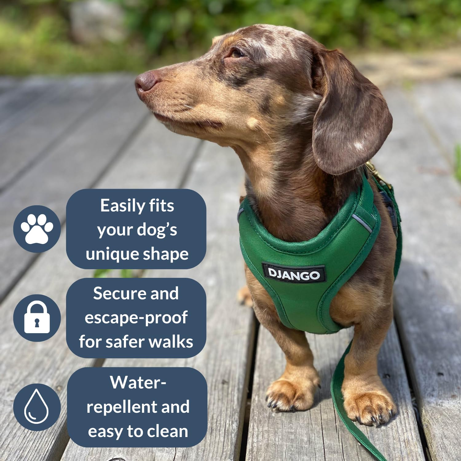 DJANGO Adventure Hundegeschirr - Bequemes, strapazierfähiges und reflektierendes Neopren Hundegeschirr für Outdoor-Abenteuer und Alltag - Verstellbares Design mit massiven Messingbeschlägen (Medium