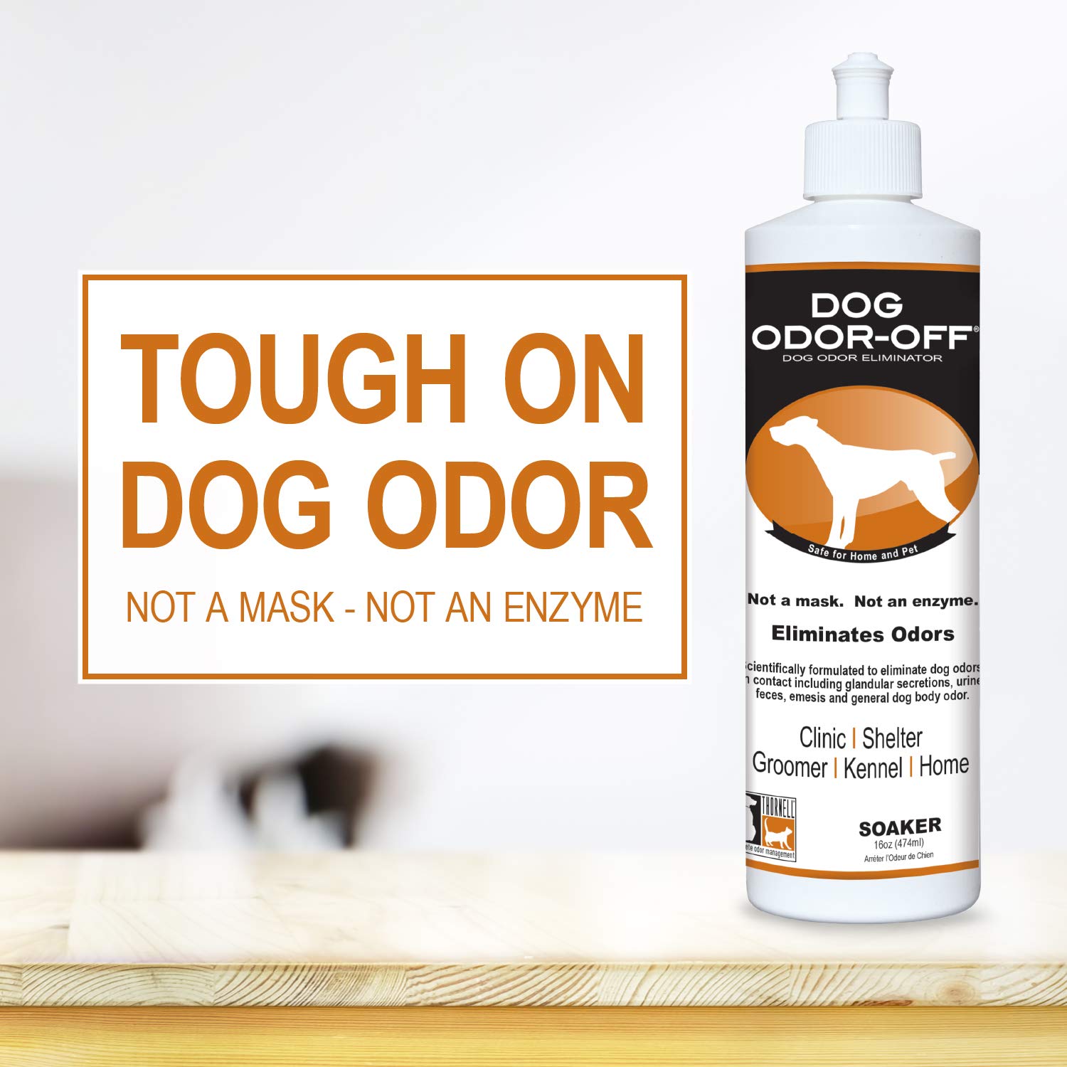 kennel odor eliminator