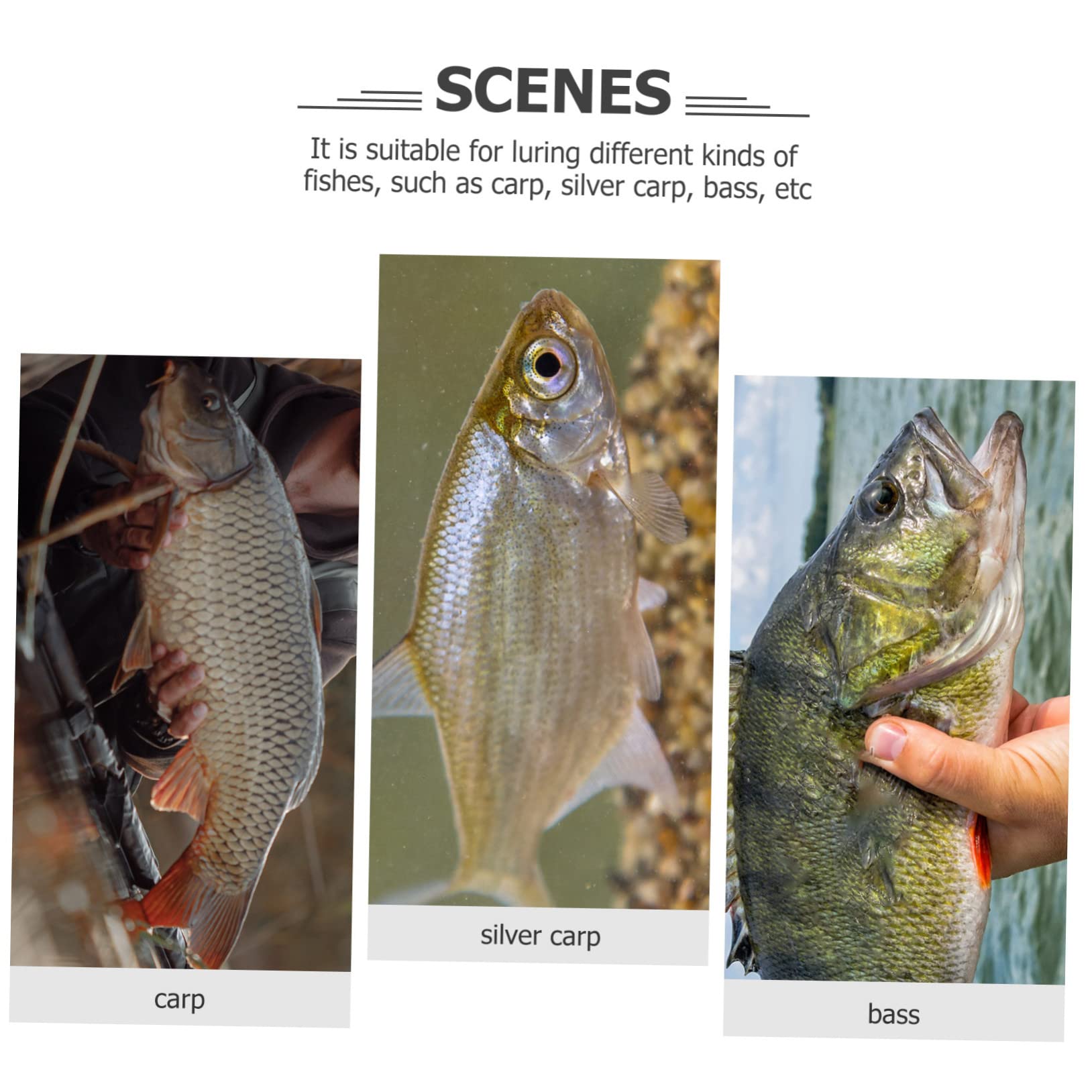 BESPORTBLE 4pcs Plastic Fish Measuring Ruler Folding Ruler for Fishing Compact Outdoor Tool