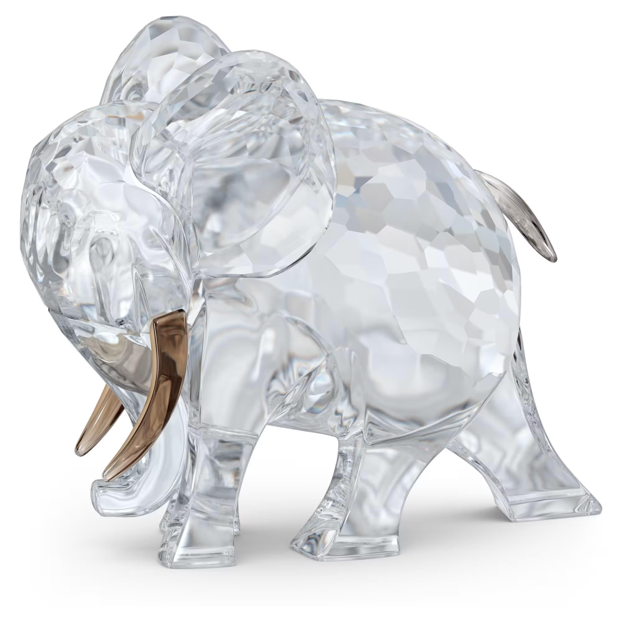 African Sunset Elephant Hami 5557855