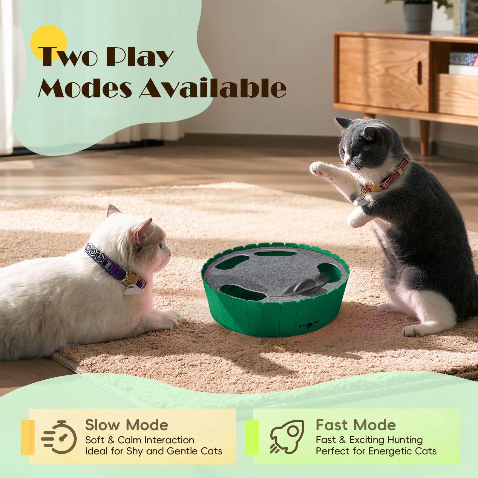 Pawaboo Interactief kattenspeelgoed, automatisch kattenoefenteaserspeelgoed met 3 vervangende roterende veren, automatisch elektronisch roterend teaser kittenspeelgoed voor binnenkatten, katten, huisdieren - Lake Blue Pawaboo Interactief kattenspeelgoed, automatisch kattenoefenteaserspeelgoed met 3 vervangende roterende veren, automatisch elektronisch roterend teaser kittenspeelgoed voor binnenkatten, katten, huisdieren - Lake Blue