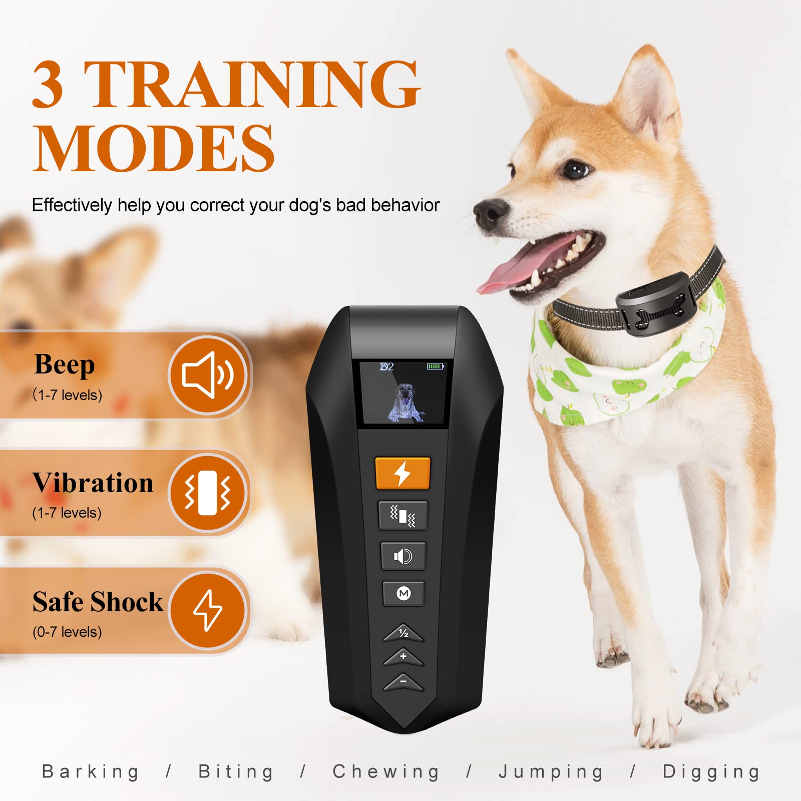 Is Shocking Your Dog Bad