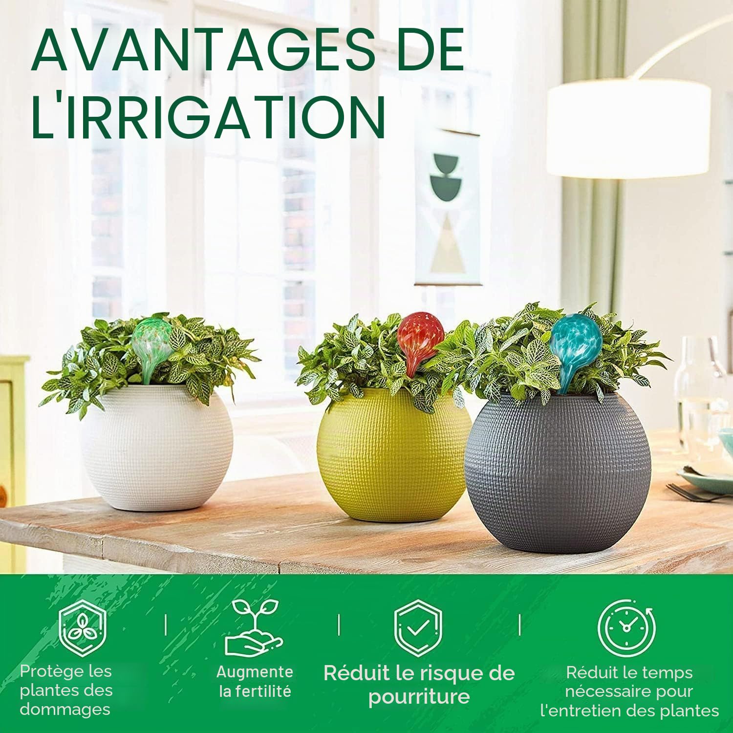 Miles Kimball Lot de 6 Petits Globes d'arrosage Multicolores en Verre pour Plantes - Chacun Mesure 15,2 cm de Long x 6,3 cm de Profondeur