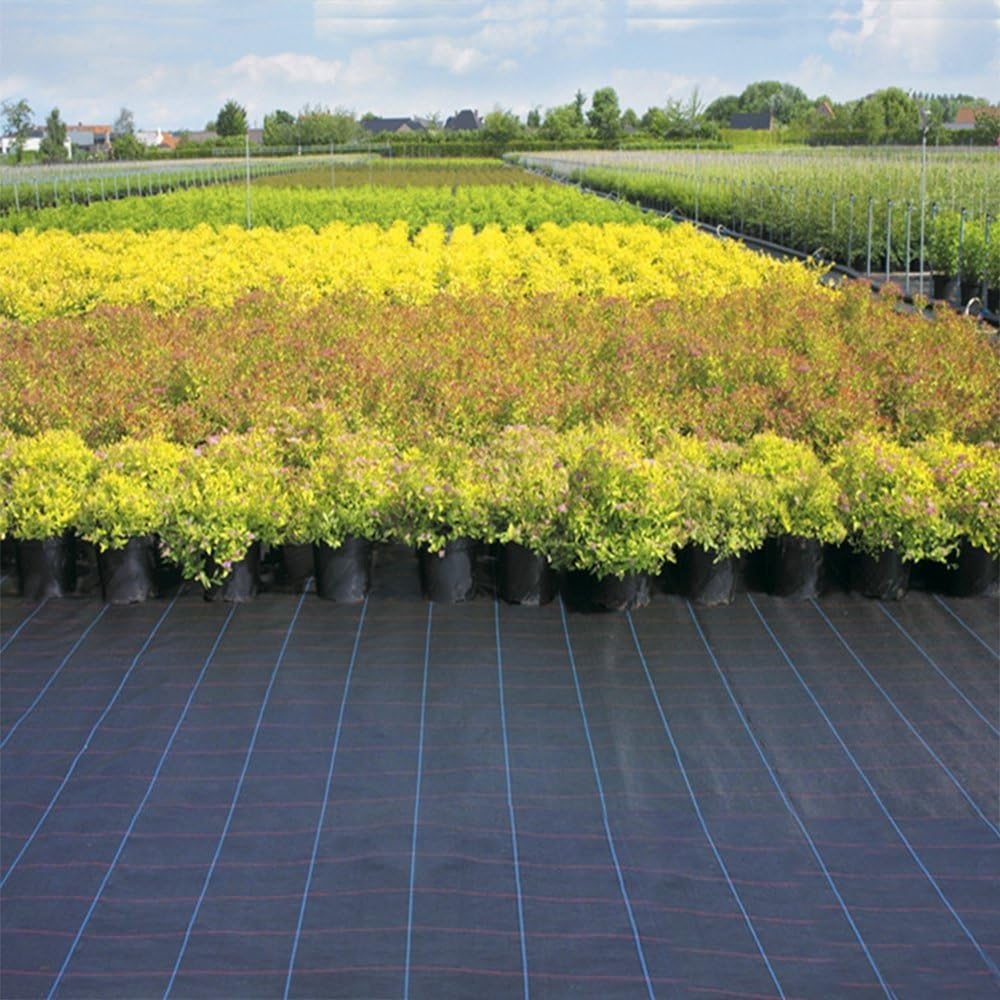 Telo Pacciamatura Barriera in Tessuto for Il Controllo delle infestanti, Copertura del Terreno Biodegradabile Stabilizzato ai Raggi UV Copertine tessute Nere(1mx150m/3.3ftx492ft)