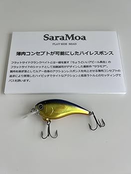 Amazon.co.jp: レヴォニック（REVONIK） サラモア （SARAMOA