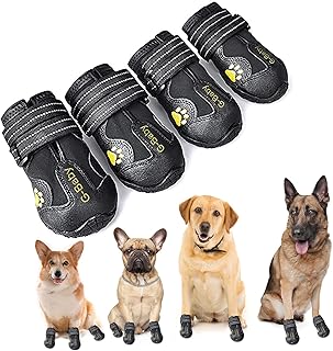 shoes for labrador