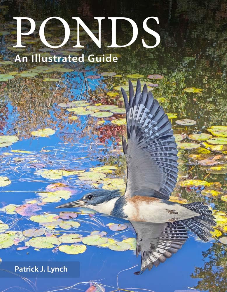 Ponds: An Illustrated Guide