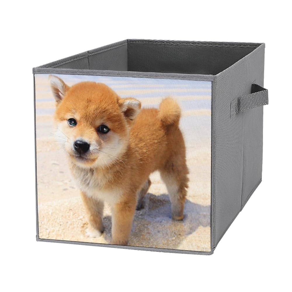 柴犬　収納ボックス 柴犬 収納ボックス Amazon｜収納ボックス 折り畳み式 柴犬 犬柄