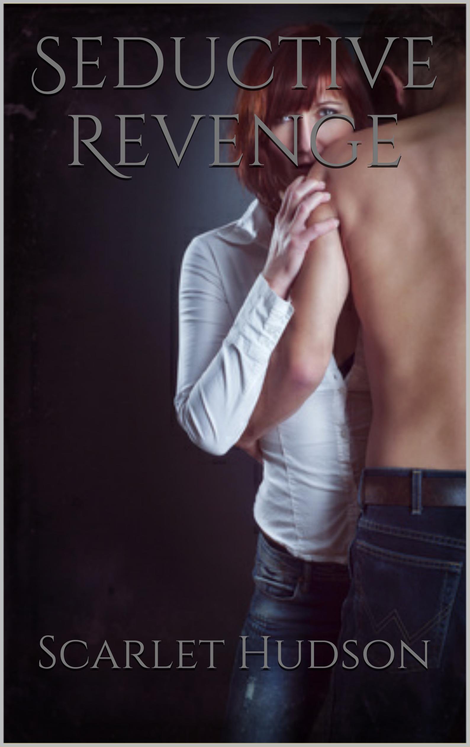 Seductive Revenge (Seductive Twist Series Book 2)