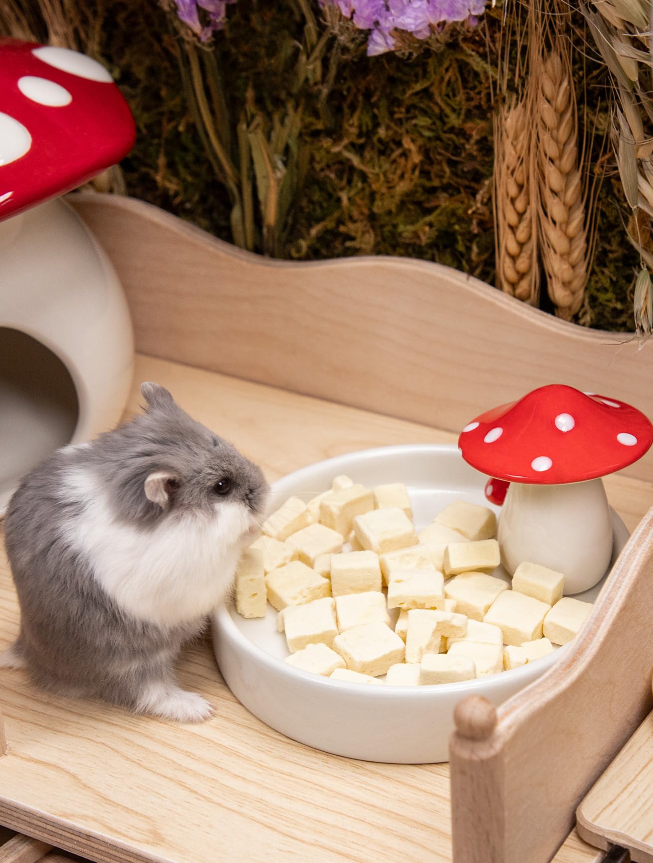 Niteangel Gamelles pour hamster - Série champignons en céramique - Gamelle pour hamsters syriens nains, gerbilles, souris, rats ou autres petits animaux de compagnie de taille similaire (gamelle