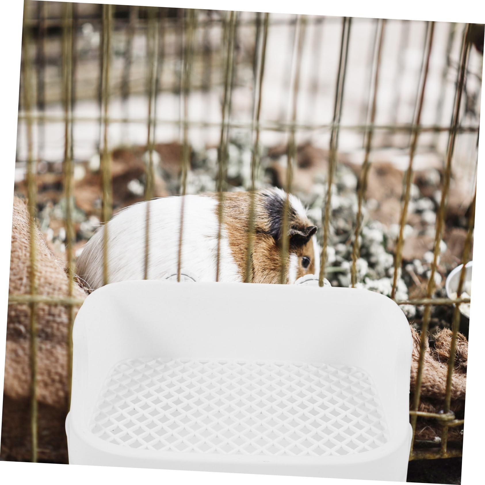 Litière pour Lapin Plastique avec Entrée Basse Bac à Litière pour Petits Animaux comme Cochons Hamsters et Plateau Toilette Adapté pour Cage Intérieure