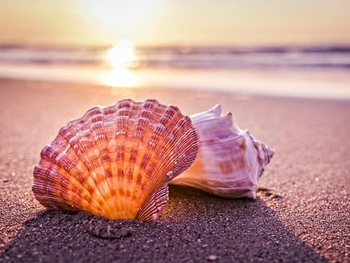 Kits de pintura de diamantes de playa 5D, kits de pintura de diamantes para escenas de playa, decoración de imagen de playa de arte de diamante,