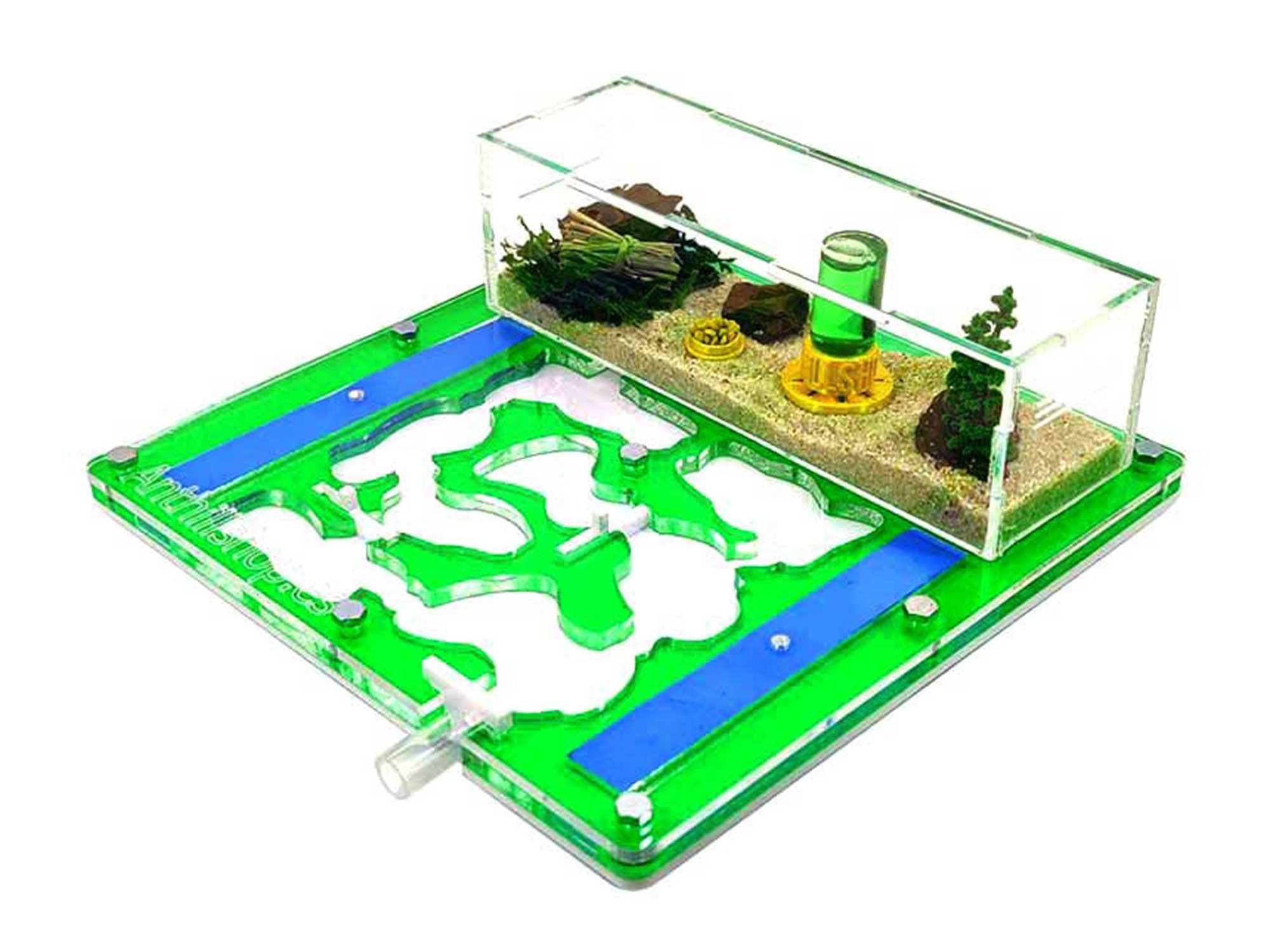 Hormiguero 20 x 20 Espuma acrílico Verde (con Hormigas Gratis, de 20 a 30 obreras).