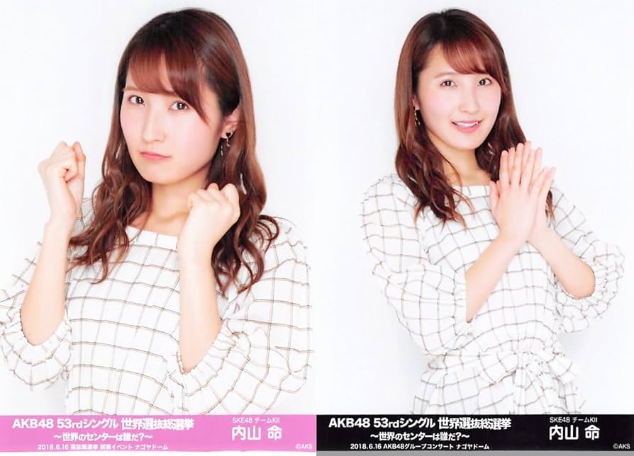 AKB48 総選挙 コンサート 開票 イベント 生写真 SKE48 2種コンプb