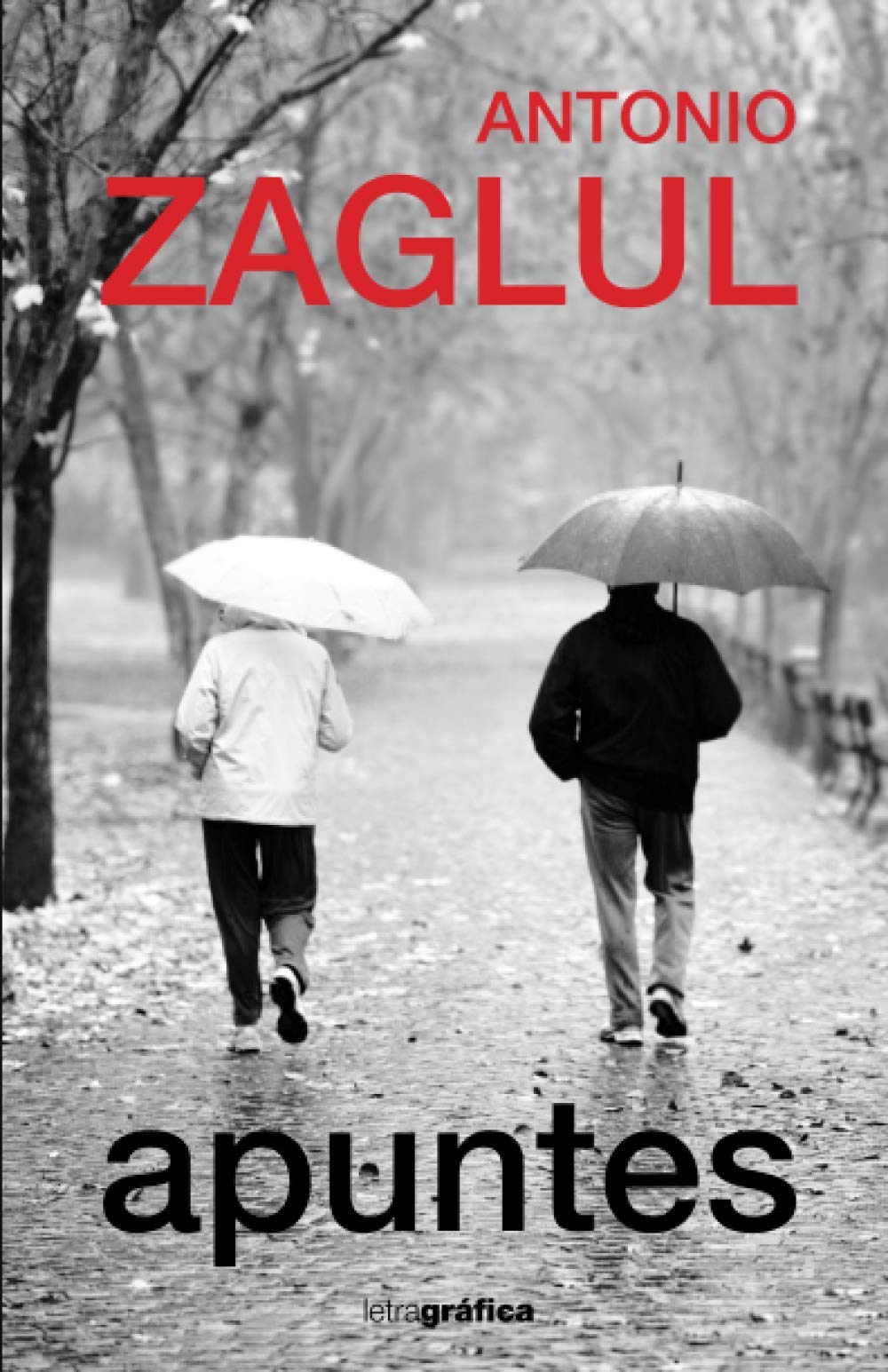 Apuntes (Spanish Edition)