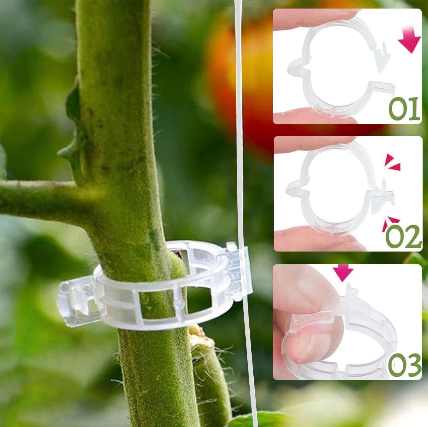 18 Crochets Tomates Métal + Clips + Corde 10m – Support Vigne Tomates, Concombres, Aubergines Jardin