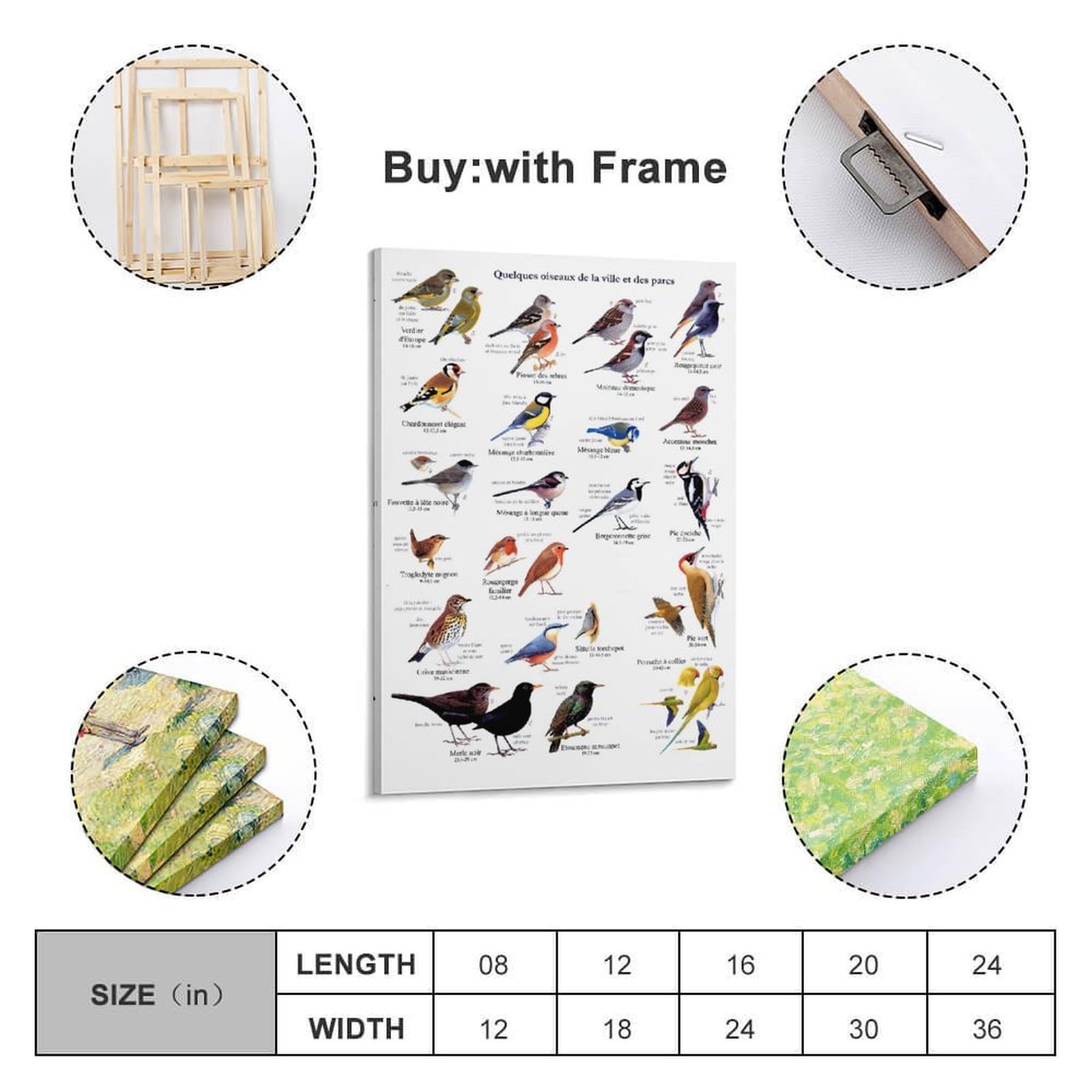 OKNGB Kinder-Zoologie-Pädagogisches Poster, Vogelführer-Poster, dekorative Malerei, Leinwand, Wandposter und Kunstdruck, moderne Familienschlafzimmer-Dekoration, Poster, 60 x 90 cm