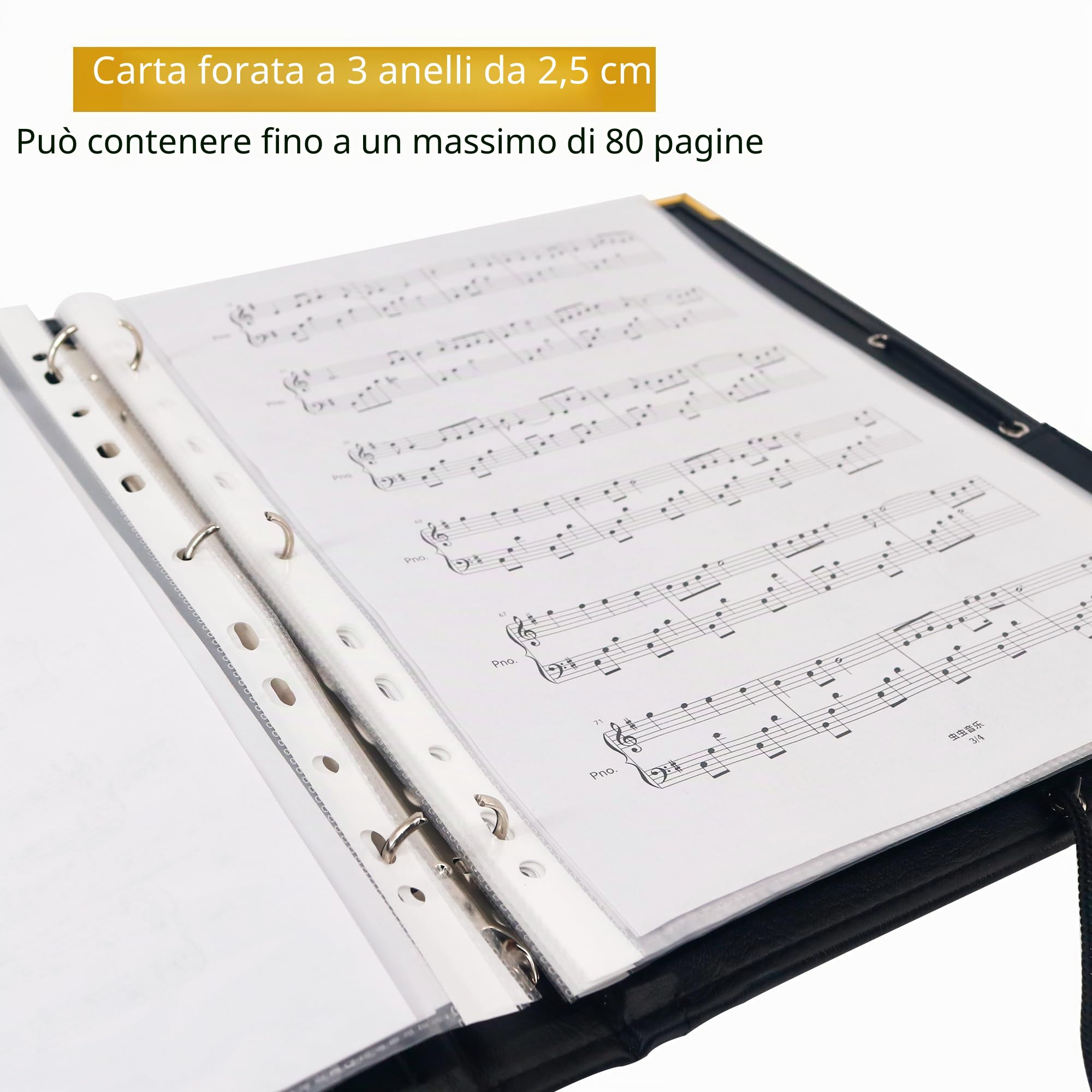 IvyRobes Raccoglitore Porta Spartiti Musicali in Pelle PU, A4 Cartelle Portaspartiti con 10 Tasche, Borsa Porta Documenti Musicale con Fascia Elastica