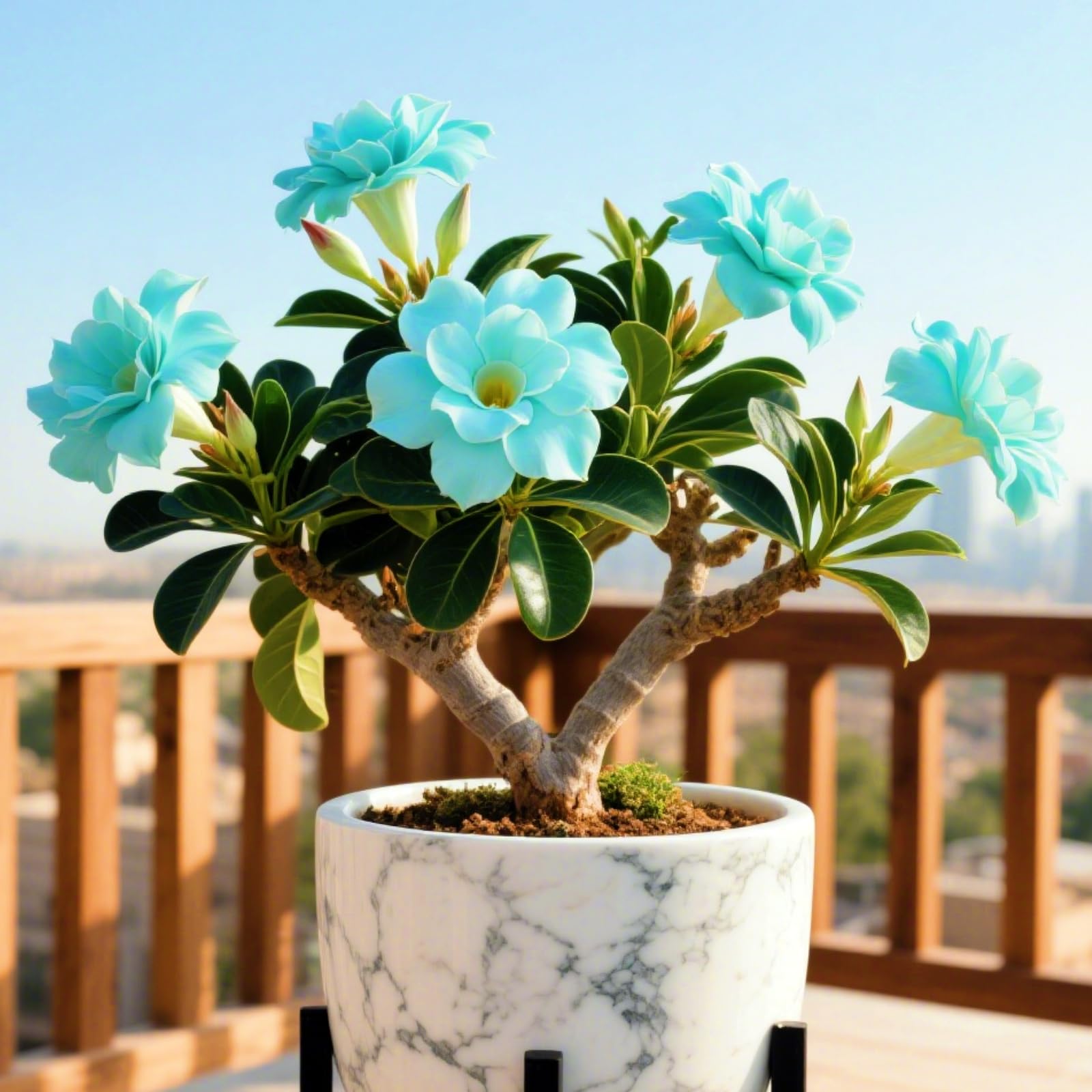 Beautiful Desert Rose Rhizome, Hardy Perennial, Garden Decoration, No Watering Required, Professional Planting, Suitable for Spring and Autumn-2 Bulbs-E โ image 1