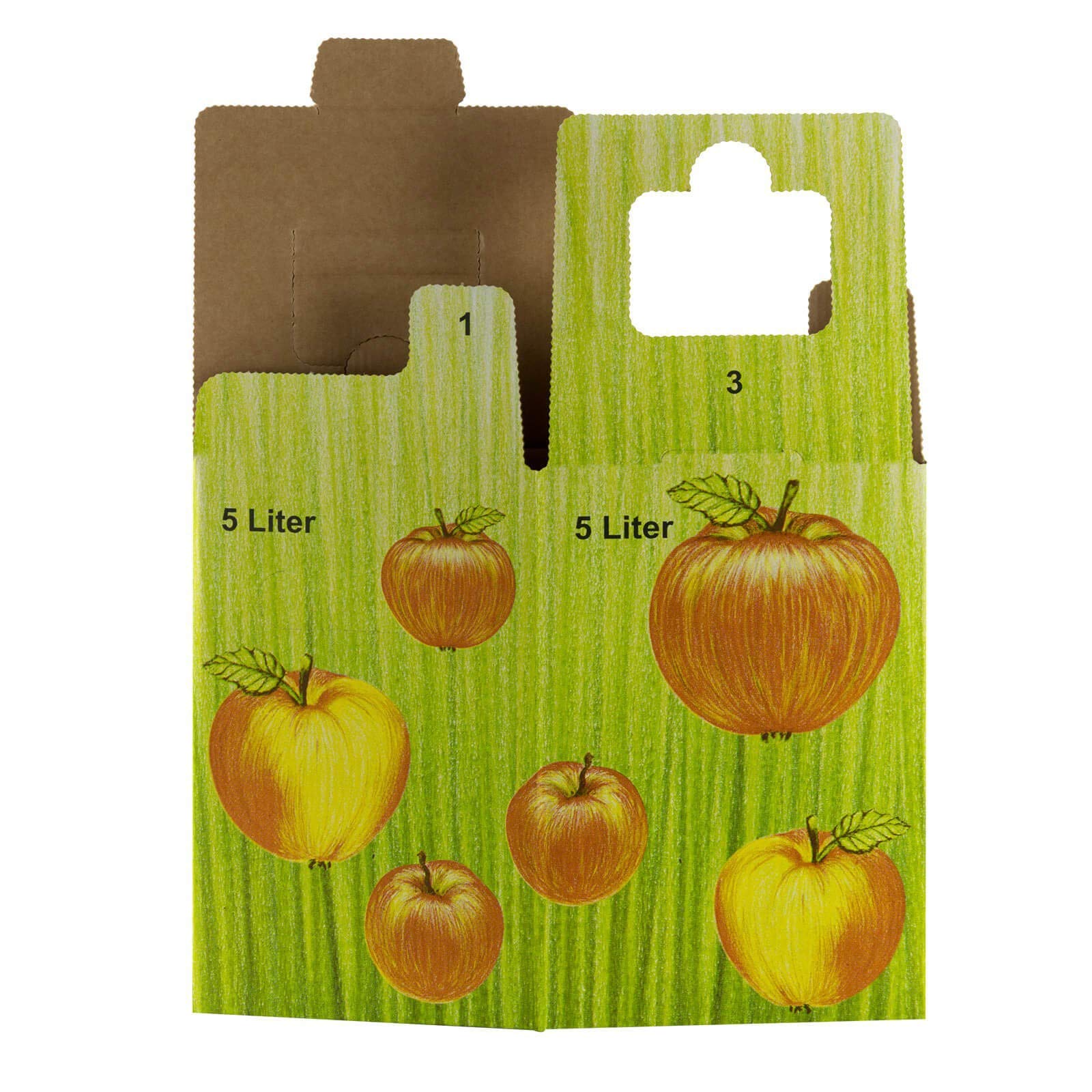 SELMA 50Stück 5 Liter Bag in Box Karton in Apfeldekor