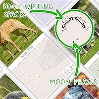 Vista 1095 de Razas de Perros 2017