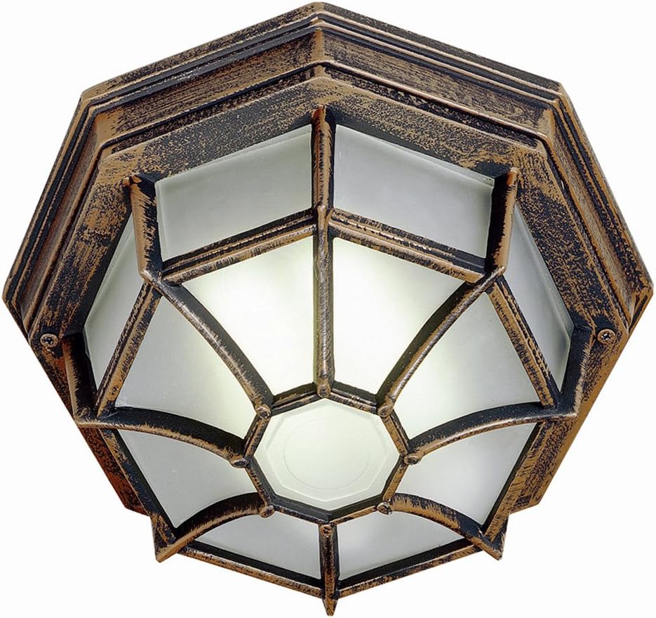Trans Globe Lighting PL-40582 RT Outdoor Benkert 5" Flushmount Lantern, Rust