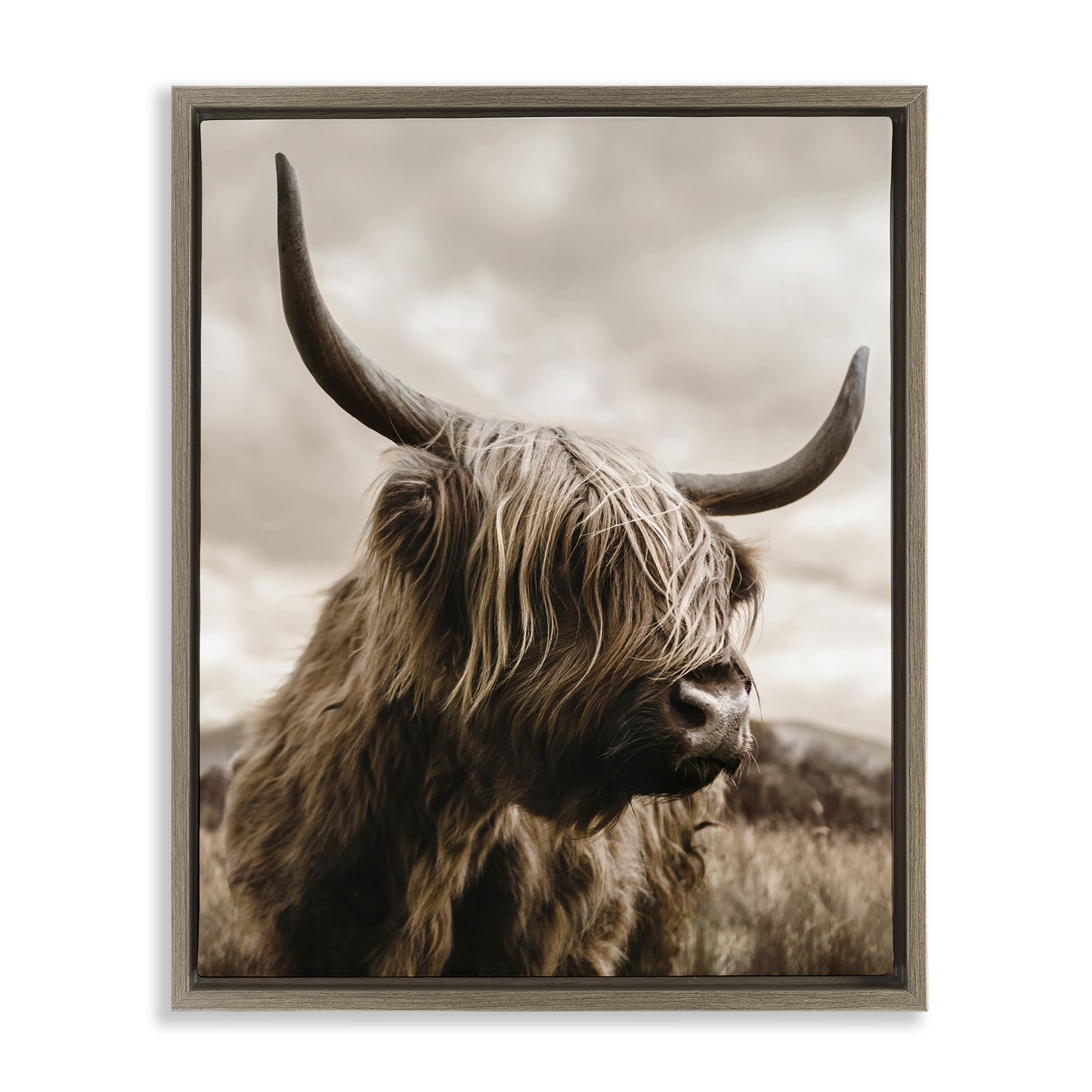 Stupell Industries 'Highland Cow on Windswept Moor', Floating Frame Canvas Art, Brown, 17 x 21 Inches, Easy to Hang and Sturdy, Made in USA, by CAD Designs