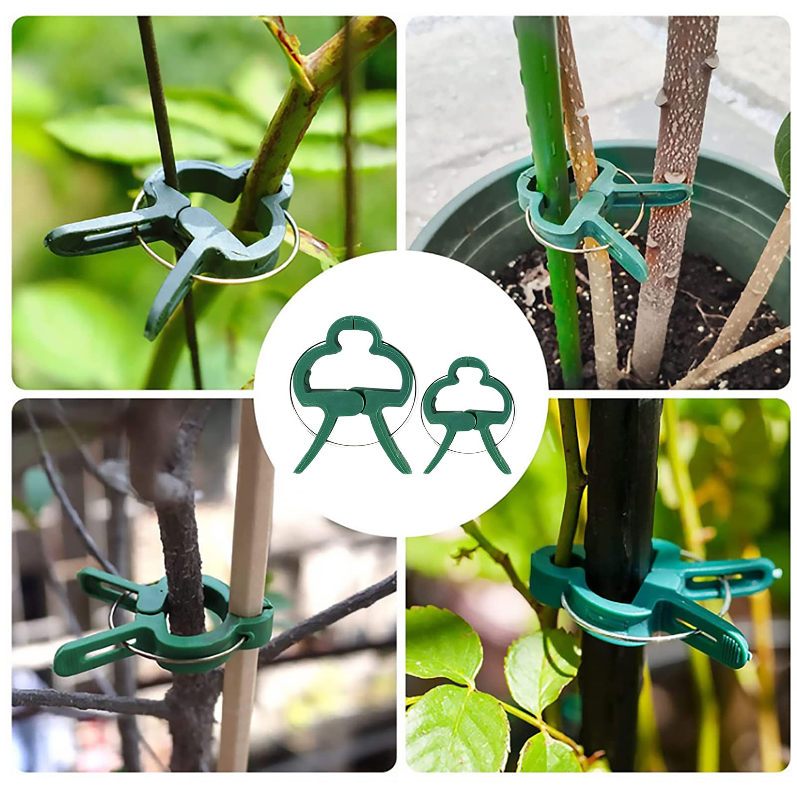 90 Clip E Fascette Per Piante - Supporto Per Pomodori, Vegetali Rampicanti - Foto 6