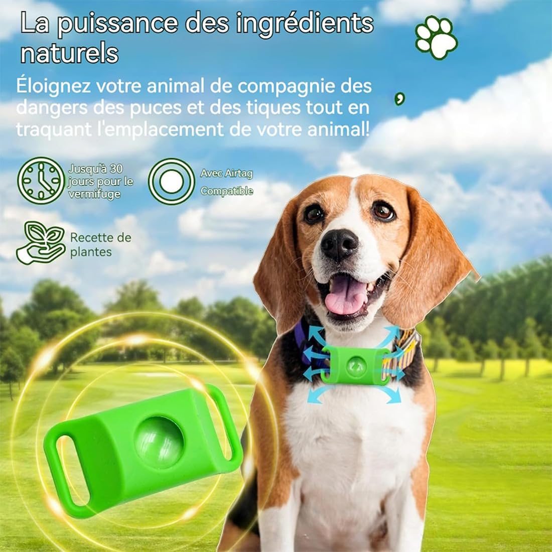 Collier répulsif Anti-puces et tiques pour Animaux, Protection Naturelle 12 Mois pour Chiens, 4 Capsules Remplaçables, Réglable, sans Contact Direct avec la Peau (F)