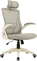 Cadeira de Escritório Ergonômica Cinza, Malha Respirável e Encosto de Cabeça Ajustável, Apoio Lombar, Estofado Mesh | Cadeira Presidente com Mecanismo de Elevação e Inclinação | HYATTO OFFICE |