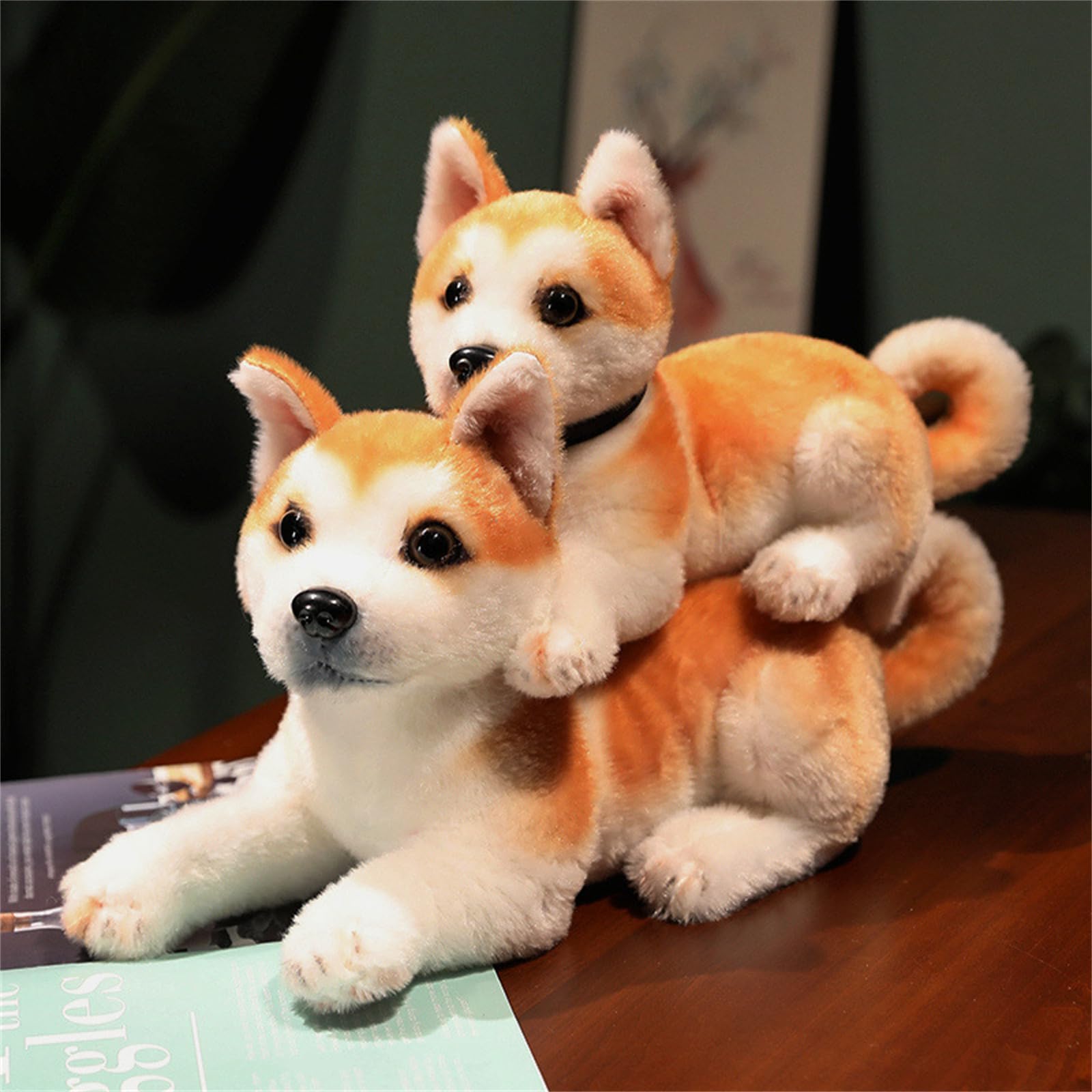 Plüschtier, Akita-Plüschtier, realistischer Welpen-Plüsch mit kurzen Beinen und Schwanz, teurer Hunde-Plüsch Ohren(32CM)