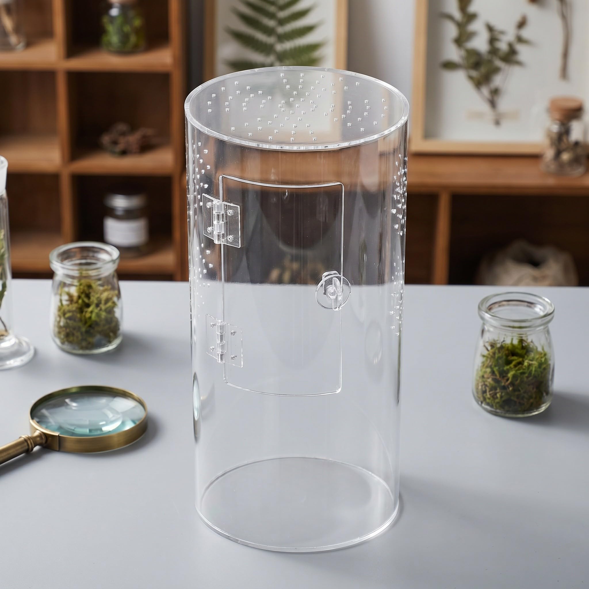 Kisangel Wentylowany, bezpieczny dom dla pająków skaczących - Przezroczyste terrarium do hodowli gadów - Akrylowe pudełko siedliskowe dla owadów domowych, ptaszników i ślimaków 6x6x12 cali