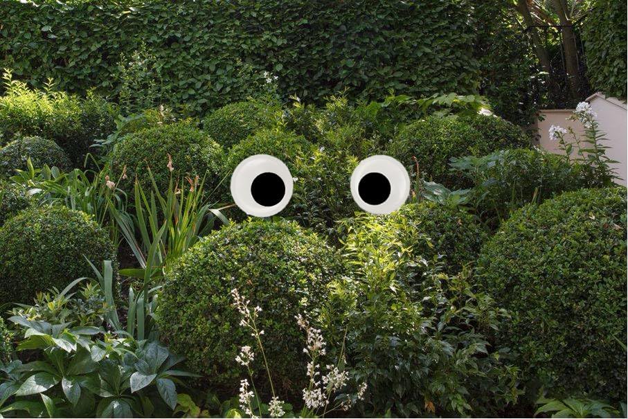 Googly Eyes for Bushes, Halloween Eyes for Bushes, Large Googly Eyes, Black White Googly Eyes,Googly Eyes Self Adhesive,for DIY Crafts Christmas Tree Decoration (180mm)