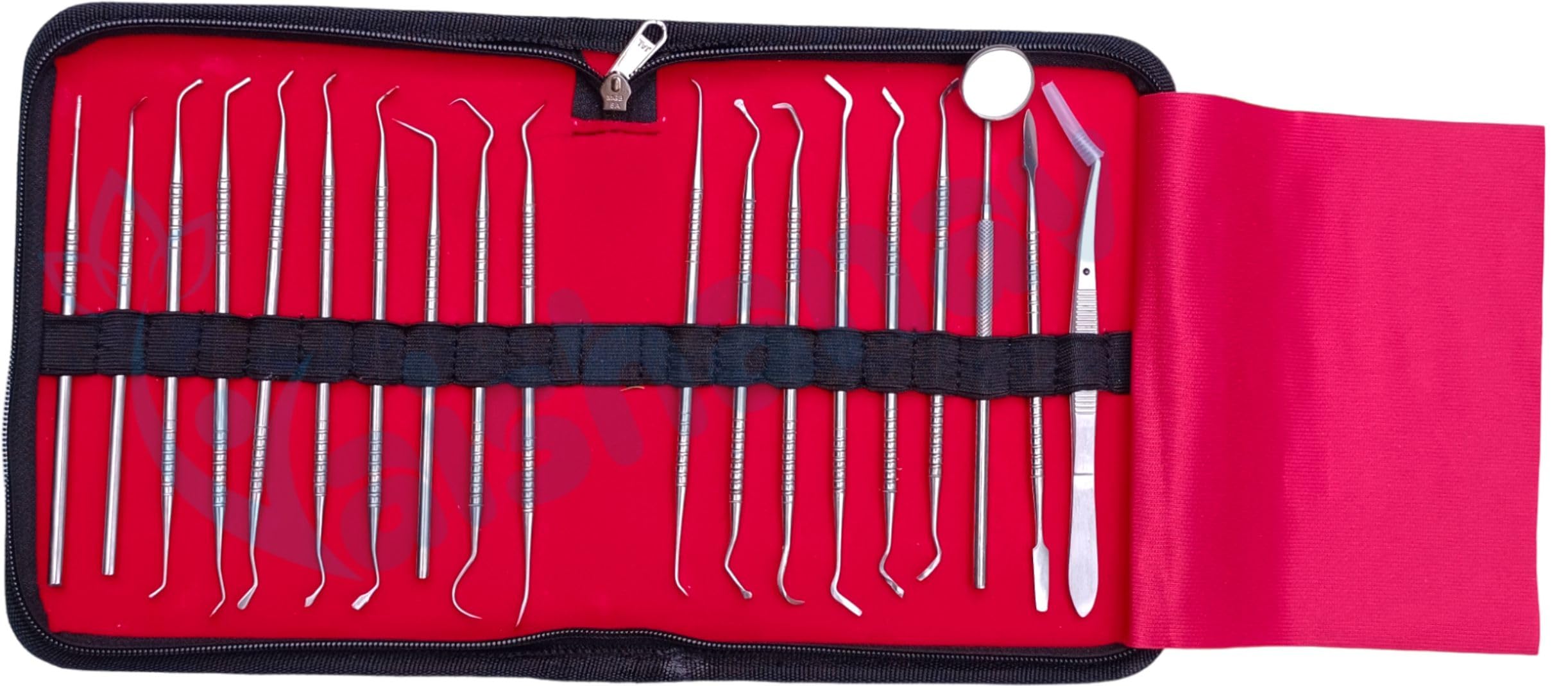 Vaishanav Premium Dental Conservative Instrument Kit - 19-Piece Set for precise dental procedures like cavity filling and root canal work (B0CZ7C1VC5) Amazon Price History, Amazon Price Tracker