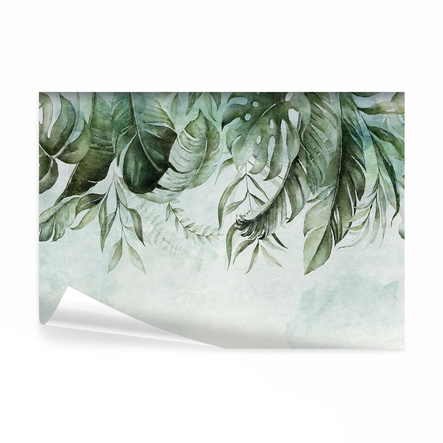 Papier Peint Panoramique Monstera Salon Ambiance Nature Gogreen