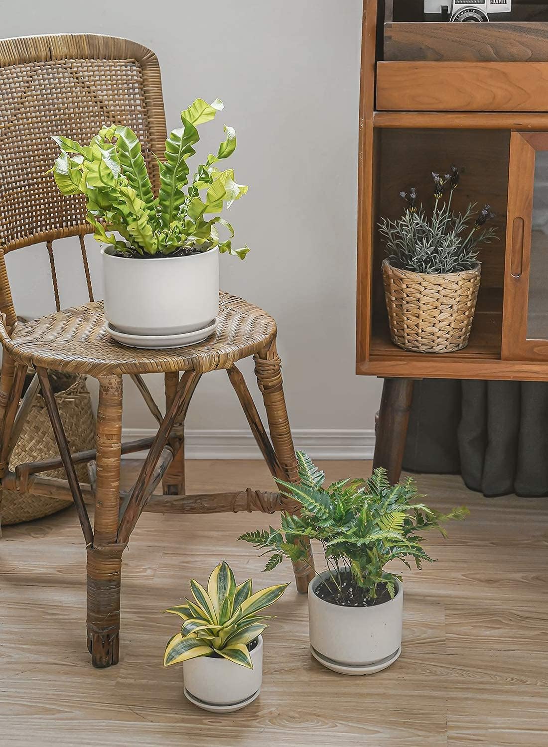 LE TAUCI Pot de Fleurs en Céramique 17 cm, Pot de Fleurs avec Soucoupe Intégrée et Trou de Drainage, Petit Cache-Pot Moderne, Robuste et Durable pour Décoration Maison et Bureau, Finition Mate, Blanc